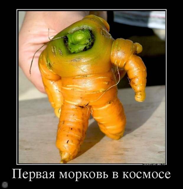 Демотиваторный позитив 14