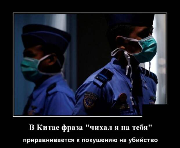 Демотиваторы (20 фото)