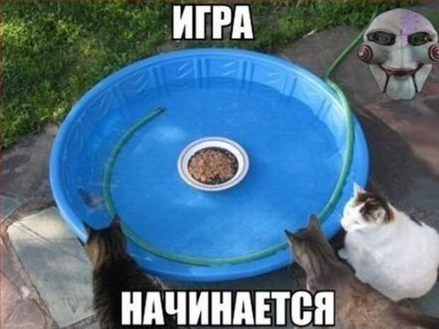 Весёлые комиксы - забавные картинки