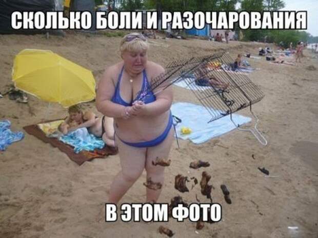 Смешные картинки с подписями катинки, прикол, юмор