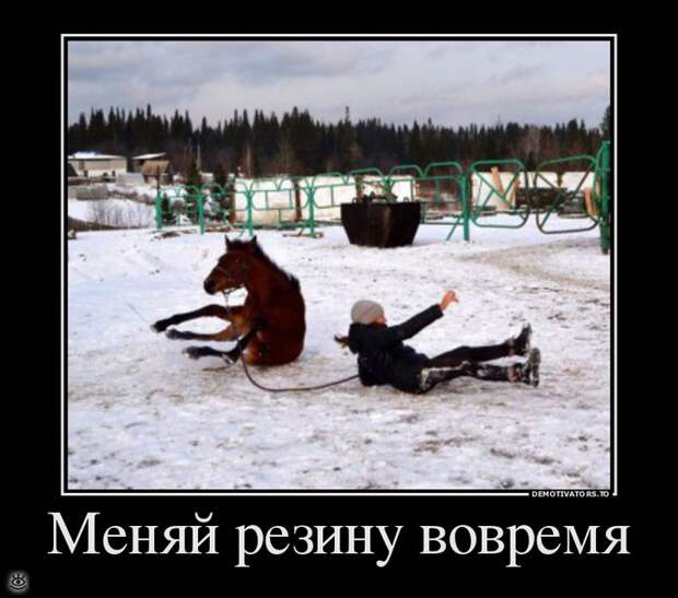 Воскресная порция философского юмора 4