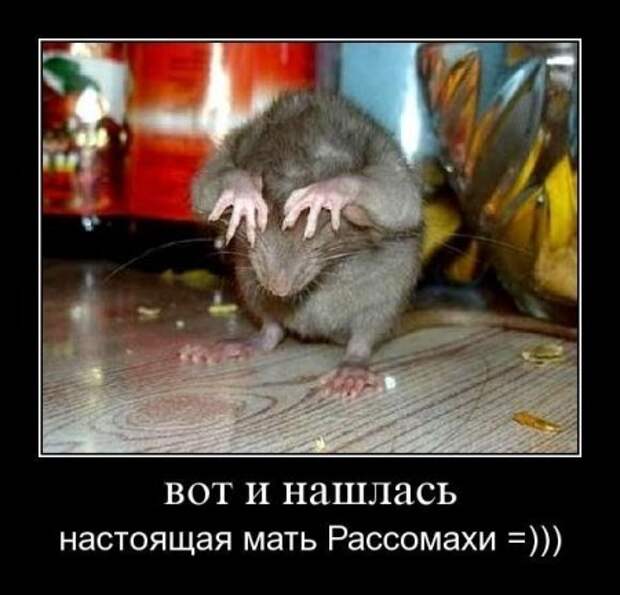 Ржачные демотиваторы на выходные