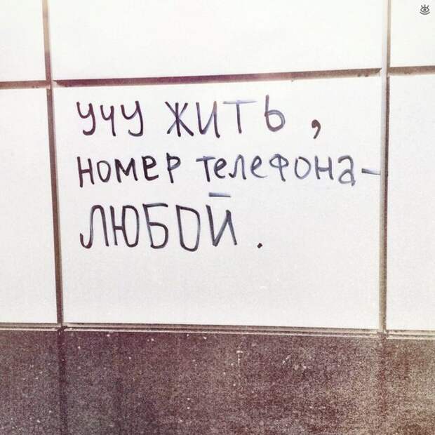 ХЗ - хорошее заведение! 8