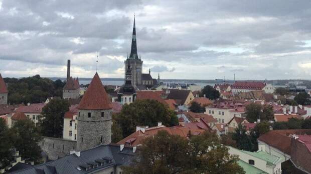 В Таллине высказались резко против сбора эстонской клубники украинцами