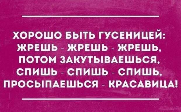 26 открыток от мастеров сарказма открытки, сарказм, юмор
