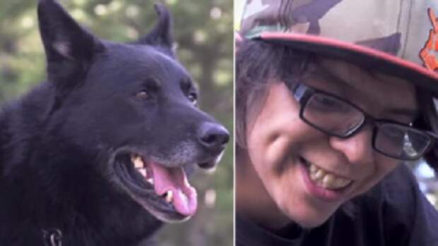 This Story Will Make You Never Want to Leave Without Your Dog