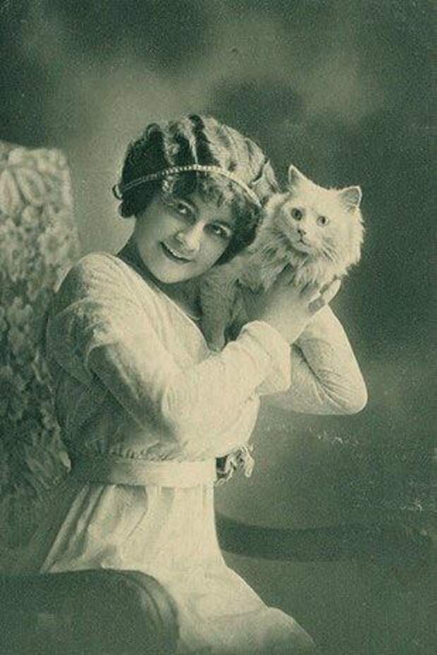 винтажные коты, коты ретро, коты викторианской эпохи