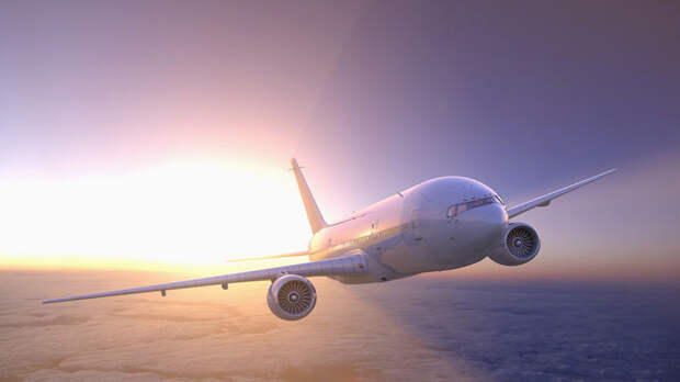 Юрист Русяев объяснил новые правила авиаперевозок, которые заработают с 1 марта