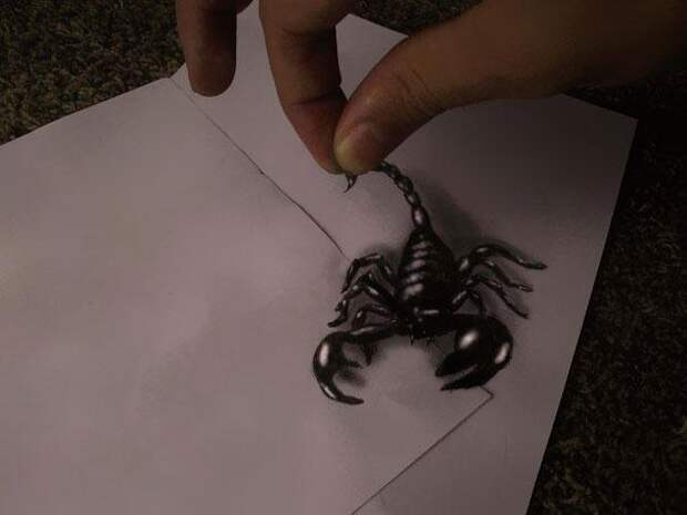 3d рисунки простым карандашом скорпион