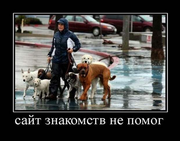 Пятничная подборка демотиваторов  демотиватор, юмор