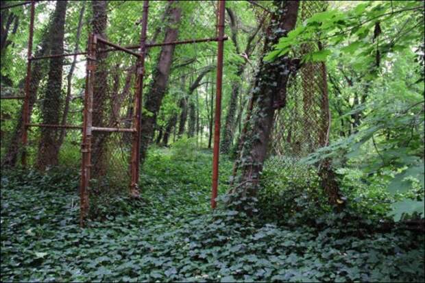 Заброшенный остров посреди Нью-Йорка (20 фото) Заброшенный остров посреди Нью-Йорка (20 фото)