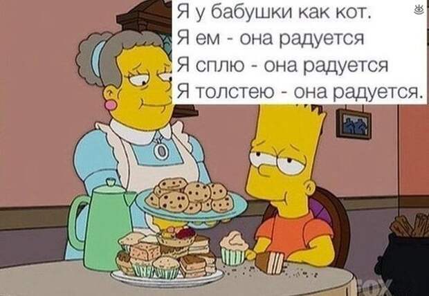 Самые разные курьёзы 19