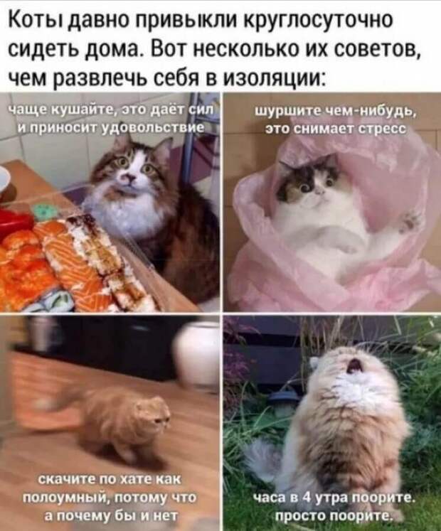 Картинки про коронавирус