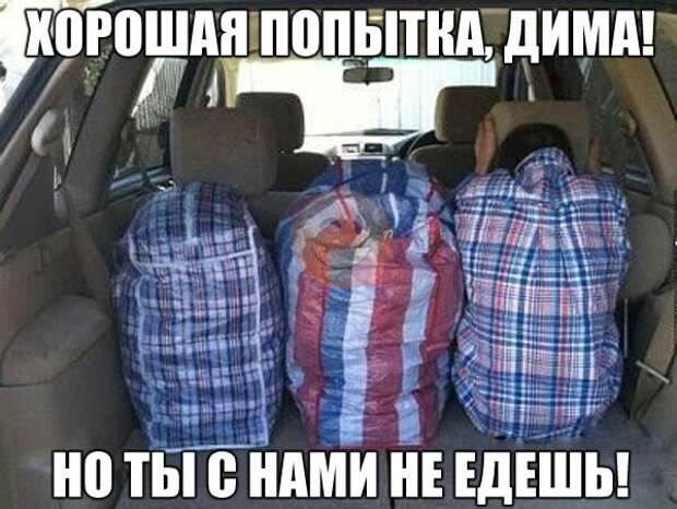 Смешные картинки с надписями видео, прикол