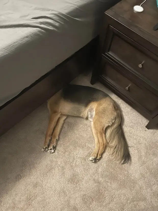 ?
