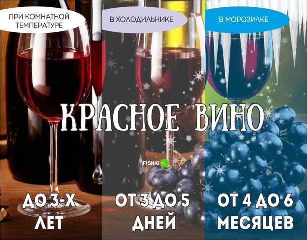 Реальный срок годности продуктов еда, продукты, хранение