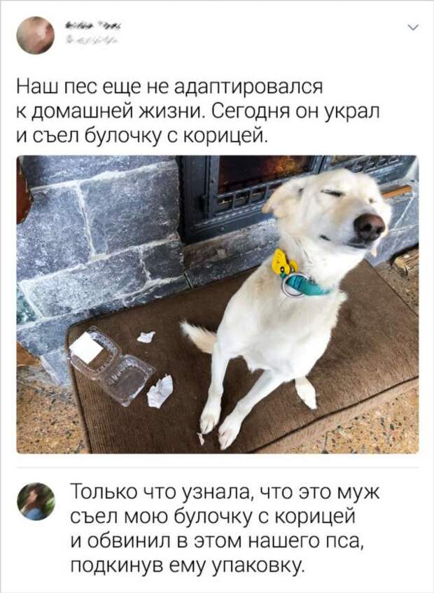 16 доказательств того, что за мужчинами нужен глаз да глаз