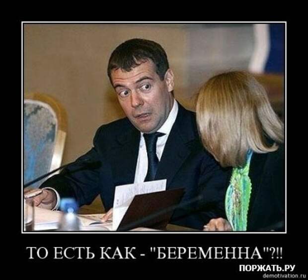 Демы (26 фото)
