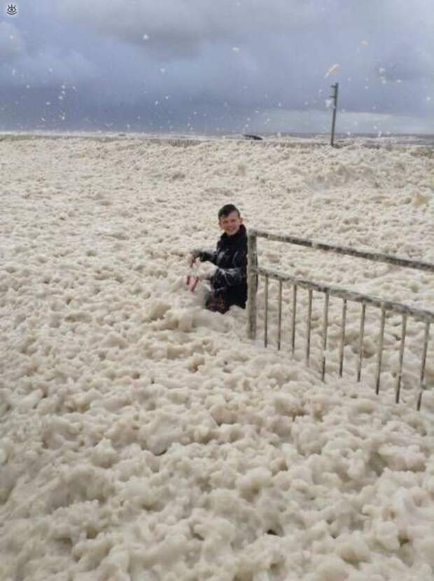 Жизнь в приколах и курьёзах 17