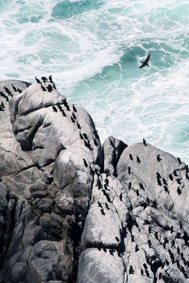 Удивительные побережья со всего мира Coastlines43 Удивительные побережья со всего мира