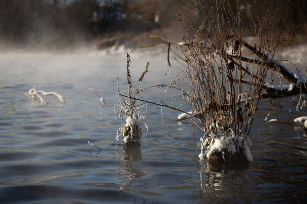 В Туле и области потеплеет до +2 градусов в пятницу, 13 февраля