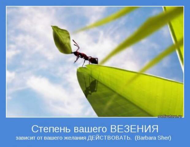 Мотиваторы тебе.