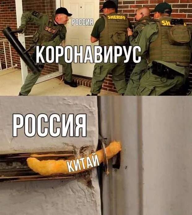Демотиваторы про коронавирус с надписями. Подборка chert-poberi-dem-koronavirus-chert-poberi-dem-koronavirus-31590603092020-9 картинка chert-poberi-dem-koronavirus-31590603092020-9