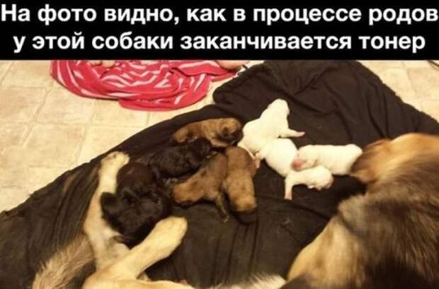 Пятничный позитив в картинках и фото (34 шт)