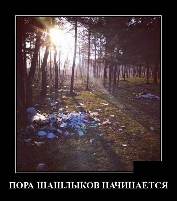 Демотиваторы (30 фото)