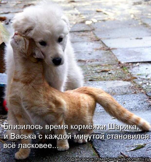 Мысли вслух :)