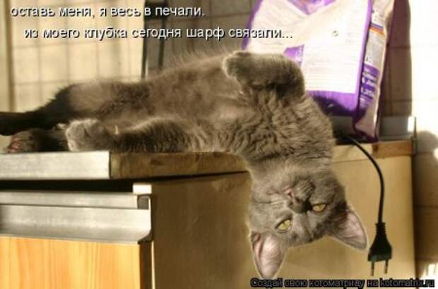 Она приходит... котЭматрикс!