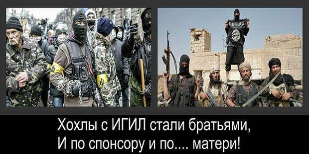 Реакция хохлов на теракт. Украина государство террорист. Украина ИГИЛ демотиватор.