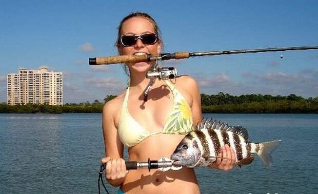 Приколы Приколы