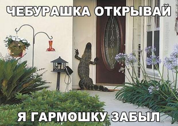 Смешные картинки с надписями прикол, юмор