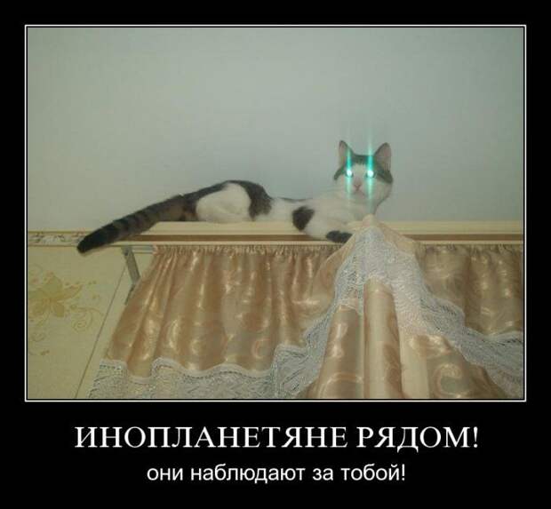 Демотиваторы (107 фото)