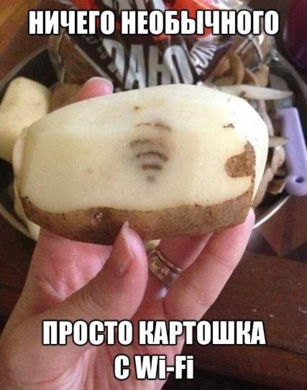 Они следят за тобой