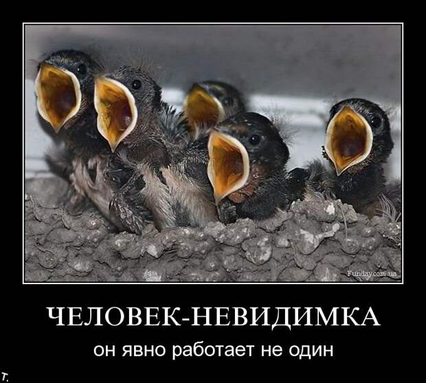 Подборка демотиваторов (84 фото)
