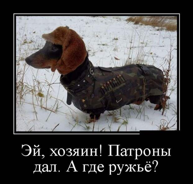 Ничего лишнего  (30 фото)