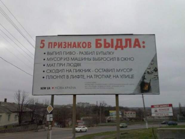 Признаки быдла быдло, грубость, общество, скот, стадо