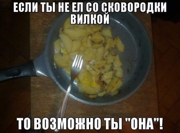 Смешные картинки с надписями прикол, юмор