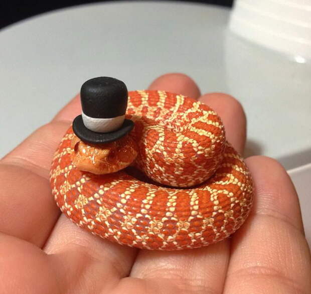 20 очаровательных змей в шляпках