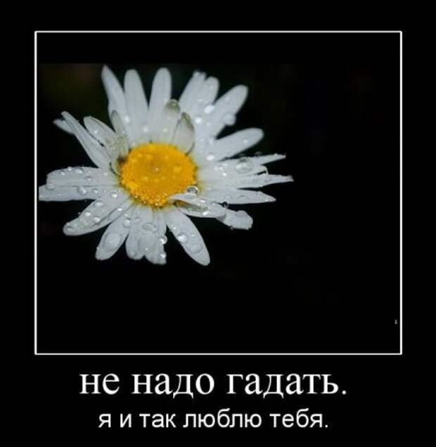 Деотиваторы о чувствах со смыслом.