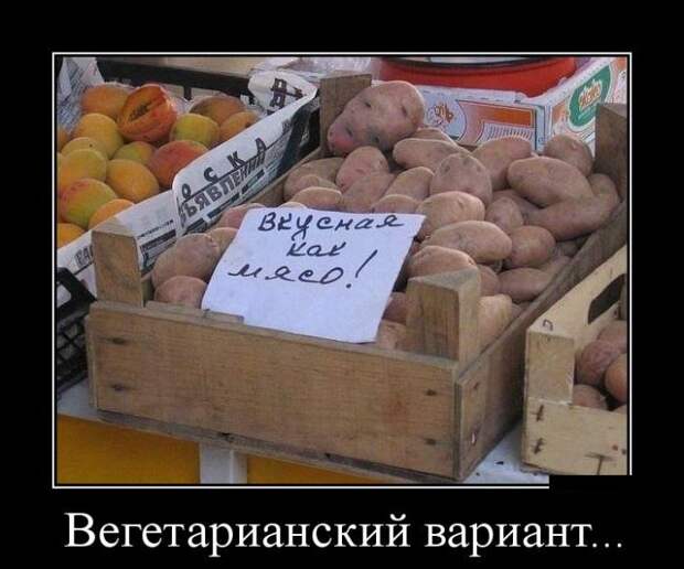 Демотиваторы (30 фото)
