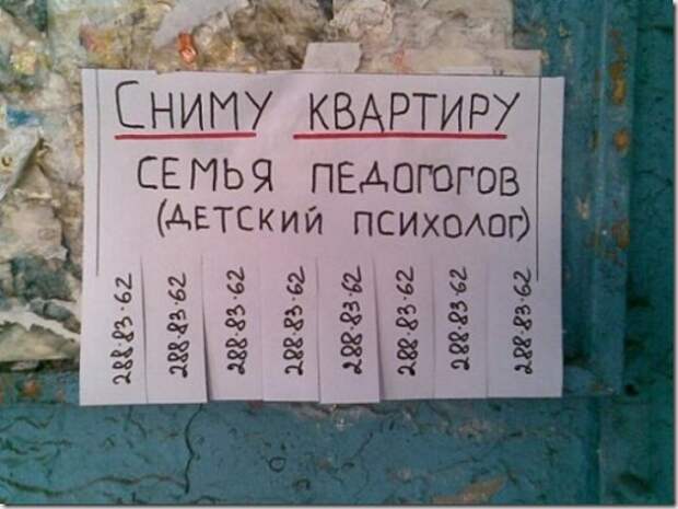 педогоги-русский-язык-песочница-педофилы-345555
