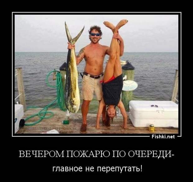 Демотиваторы  демотиваторы, прикол, смех, юмор