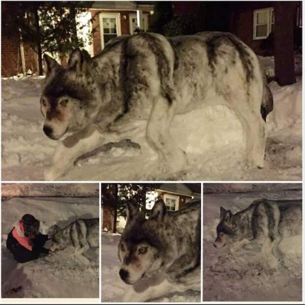 Прикольные картинки. Вечерний выпуск (57 фото)