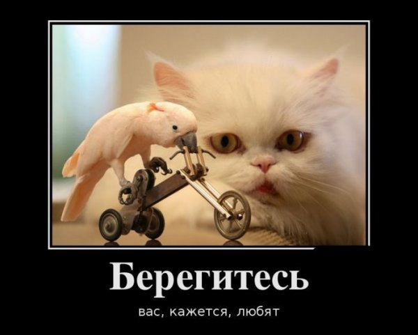 Обо всём.