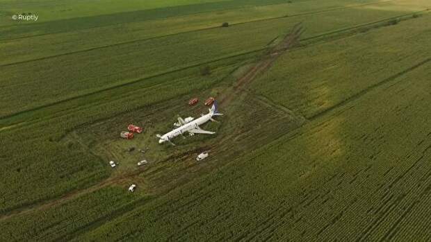 Самолет А-321 авиакомпании Уральские авиалинии с пассажирами на борту совершил аварийную посадку в Подмосковье