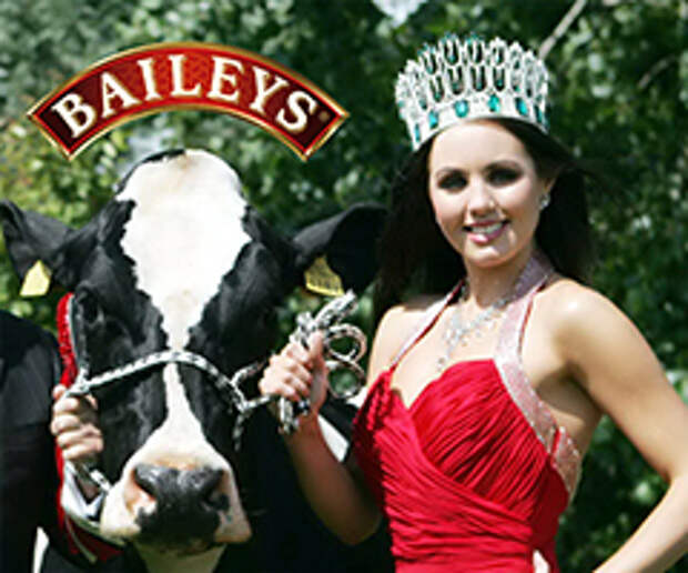 Baileys занялся поиском самой красивой коровы