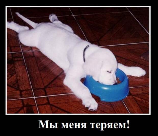Мои демотиваторы, оцените творчество.